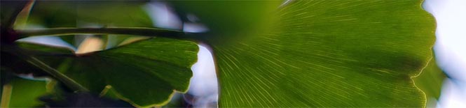 Environnement